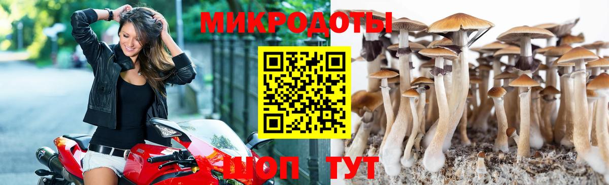 Псилоцибиновые грибы мицелий  Вход с VPN  Татарск 