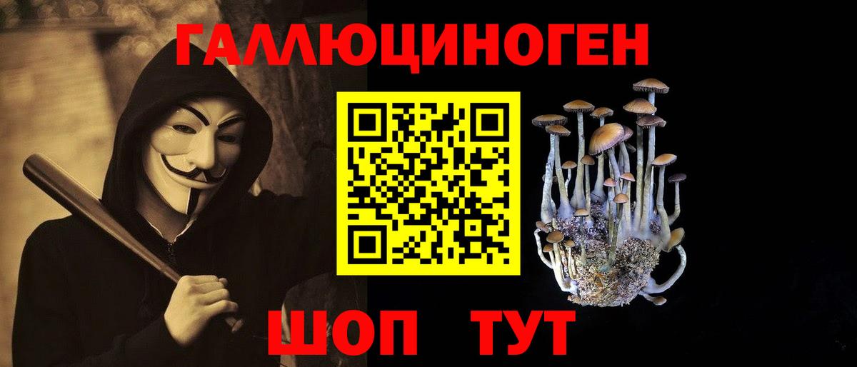 Псилоцибиновые грибы мицелий Татарск